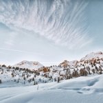 Алберт Попов настоява за спешни мерки за Витоша