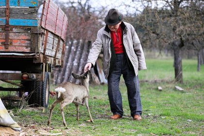 Пенсиите в България скачат с 7,8% от юли по швейцарското правило