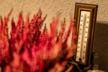 Жегата в Русе гони 40 градуса