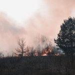 Пожарът край Рупите отново се разгоря, огнеборци се борят с пламъците в труднодостъпен терен