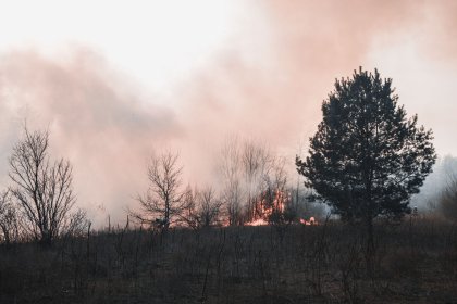Пожарът край Рупите отново се разгоря, огнеборци се борят с пламъците в труднодостъпен терен