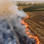 Пожарът край Гърмен овладян след изгаряне на 90 декара гора