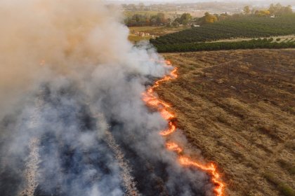 Пожарът край Гърмен овладян след изгаряне на 90 декара гора