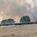 Голям пожар бушува край Хасково, застрашава гори и ниви