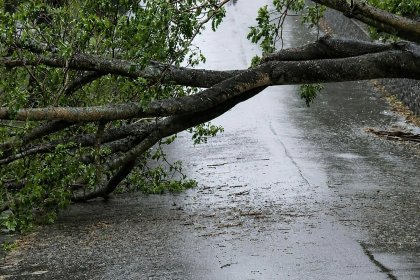 Мъж остава в неизвестност след пороя в Пещера