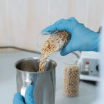 Словакия съди ЕС заради дерегулацията на ГМО