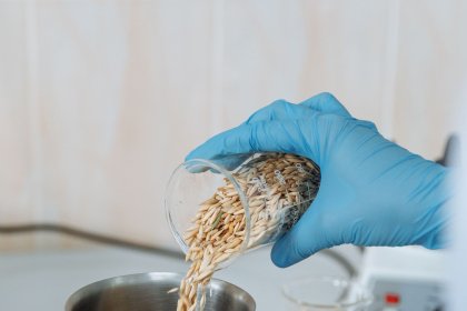 Словакия съди ЕС заради дерегулацията на ГМО