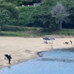 Останки от дрон изплуваха на плажа край Ахтопол